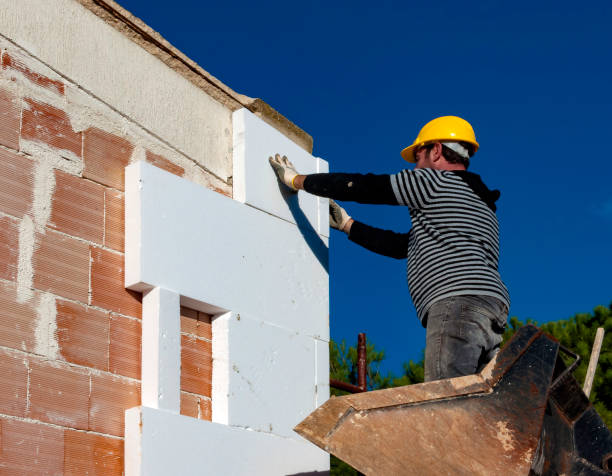 Best Residential Insulation in Eastwood, MI