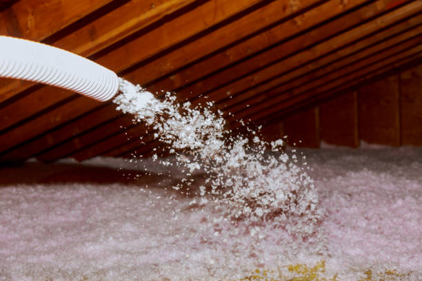 Best Eco-Friendly Insulation in Eastwood, MI