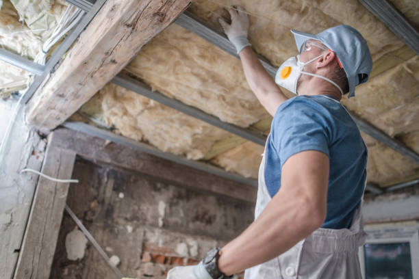 Best Specialized Insulation Services in Eastwood, MI