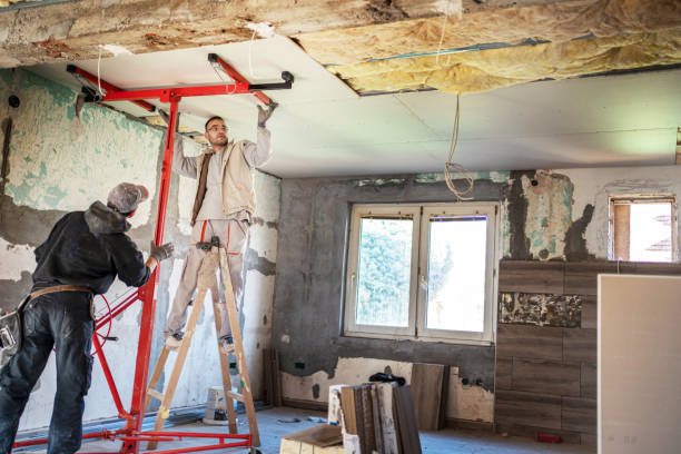 Best DIY Insulation Kits and Guidance in Eastwood, MI