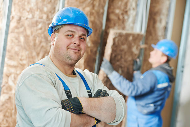 Best Residential Insulation in Eastwood, MI